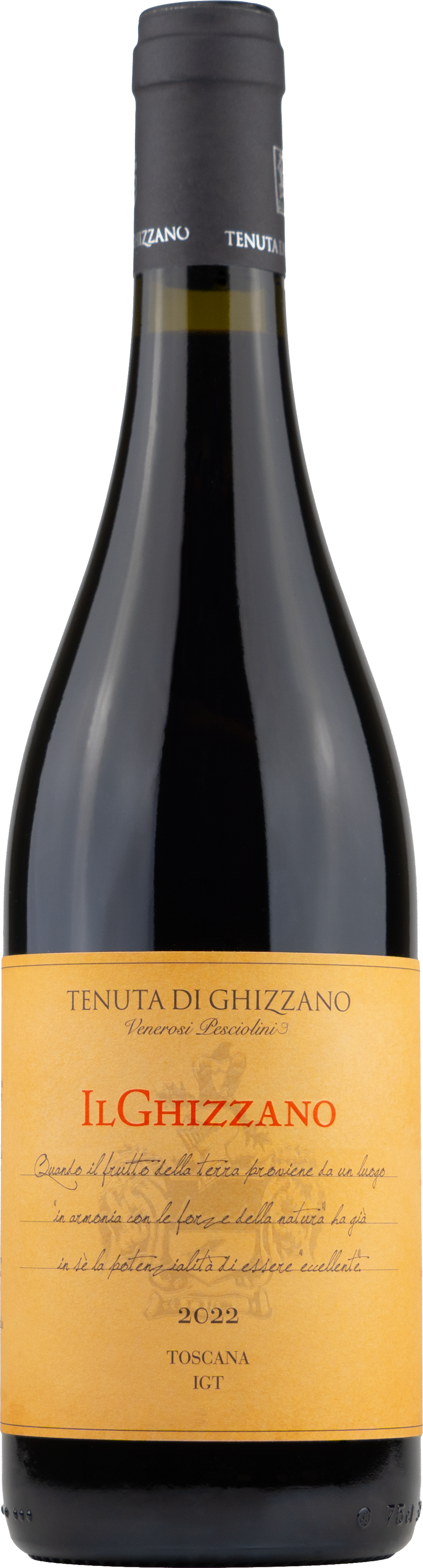 Тенута ди Гиццано Ильгиццано Коста Тоскана ИГТ красное сухое 2022 0,75 л. 12% Вино сортовое выдержанное