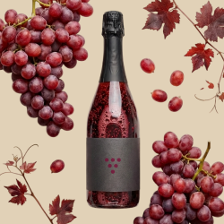 Красное игристое вино