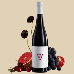 Плодовые вина