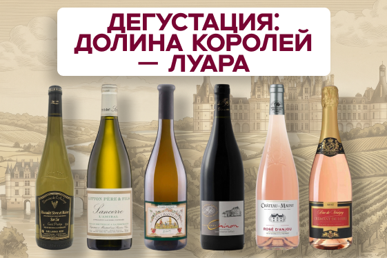 08.03. Долина королей — Луара