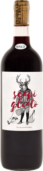 Скапильято Тоскана ИГТ 2022 сухое красное 0,75 л. 11,5% Вино ординарное региона Тоскана